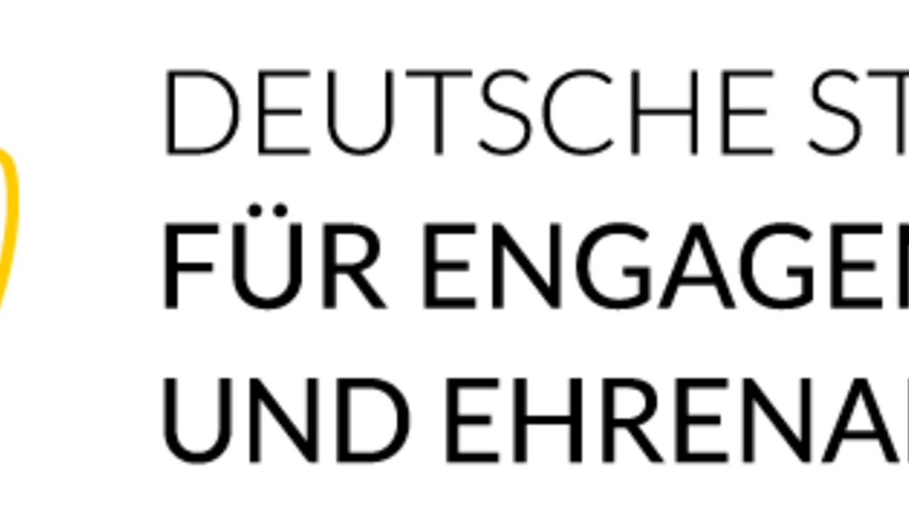 Logo Deutsche Stiftung für Engagement und Ehrenamt (DSEE)